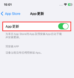 扎鲁特苹果15维修中心如何让iPhone15APP自动更新